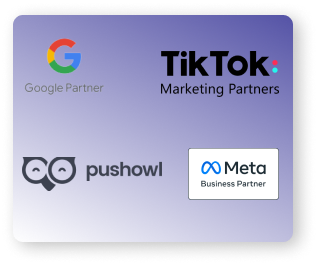 Logos of Google Partner, TikTok Marketing Partners, PushOwl, and Meta Business Partner displayed on a grey background.