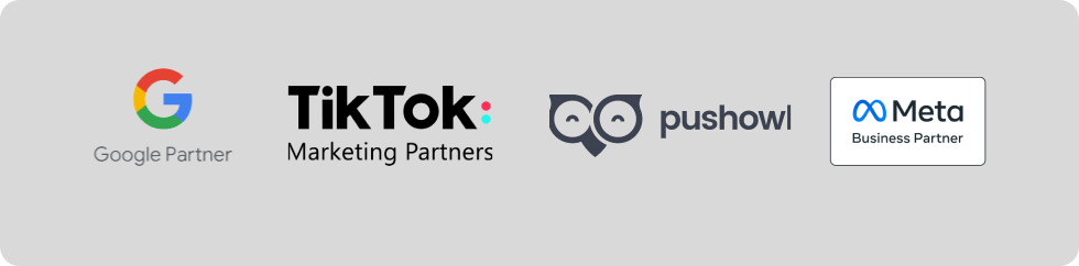 Logos of Google Partner, TikTok Marketing Partners, PushOwl, and Meta Business Partner displayed on a grey background.